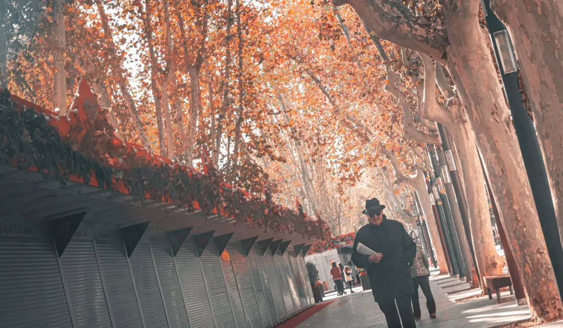 Planning a Photo Essay Before the Light Changes This Autumn